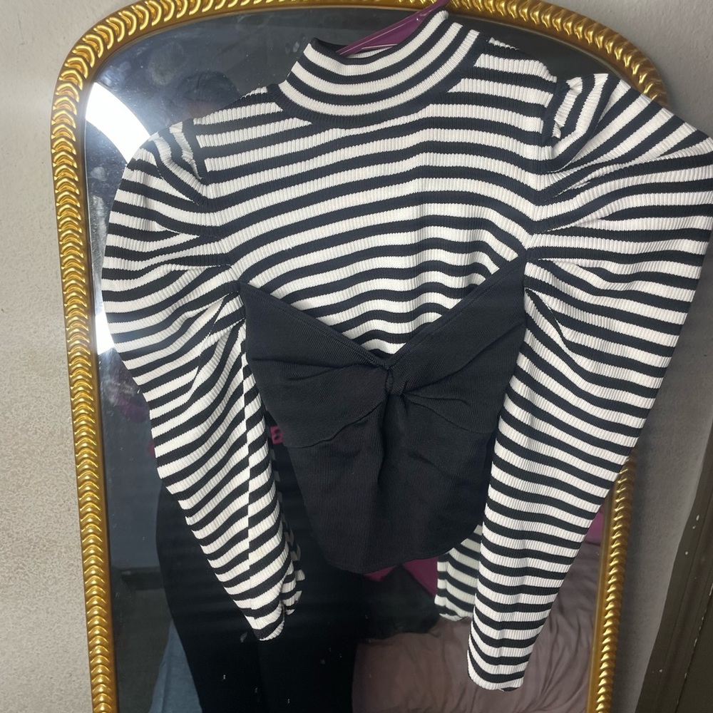 Zara Black and White Striped Top